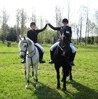Hästar och ryttare på Ridskola Hästravaganza